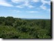 Martha's Vineyard Scenic View