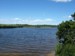 Hummock Pond