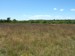 Area A Grassland