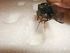 Insert Pinned Cicada Into Styrofoam