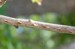 Egg cases