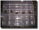 Five Tibicen canicularis nymphs held in a container separated into compartments. Click to enlarge.