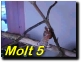 Click To Play Movie