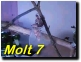 Click To Play Movie