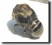 Tibicen canicularis failed to molt properly. Click to enlarge.