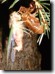 Tibicen canicularis male. Nearly completing the eclose process. Click to enlarge.