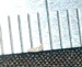 Okanagana eggs and ruler
