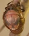T. lyricen nymph eclosing 1