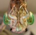 T. lyricen female emerging