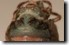 Cicada closeup shot