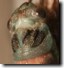 The cicada teneral's head closeup.