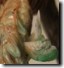 cicada fore, mid and hind legs