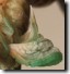 Cicad wingbud closeup