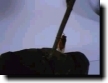 Click To Play Movie