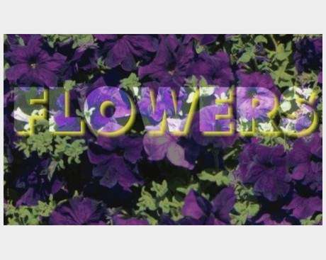 Flowers