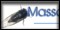 Massachusetts Cicadas