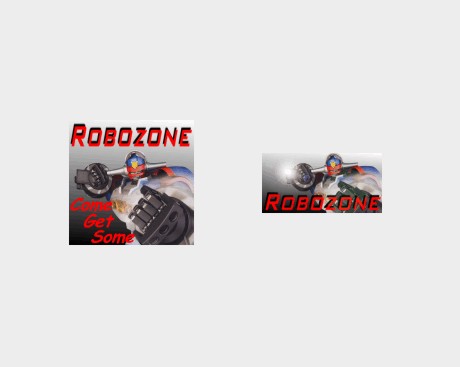 Robozone Logos
