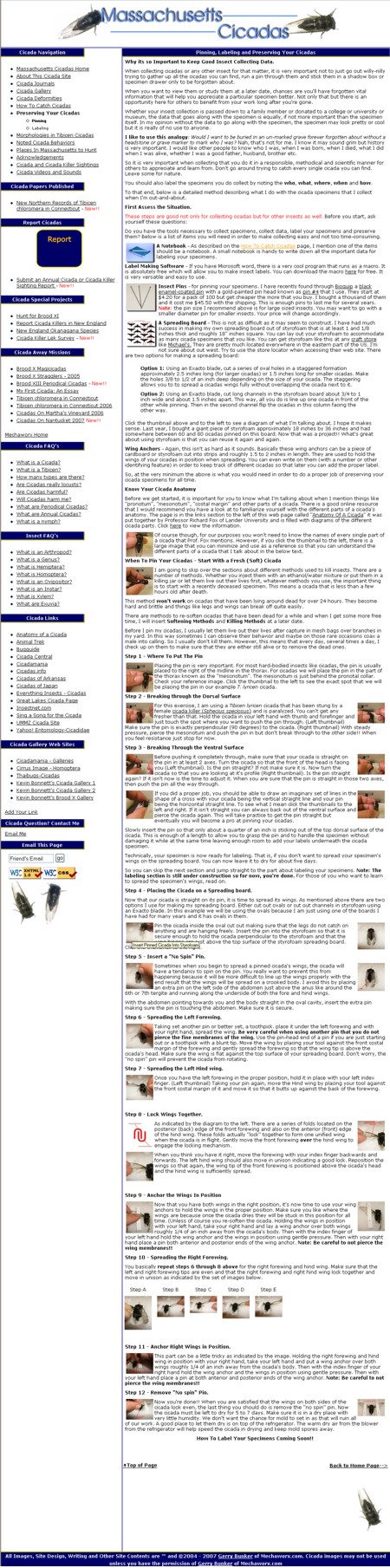 Massachusetts Cicadas How To Page