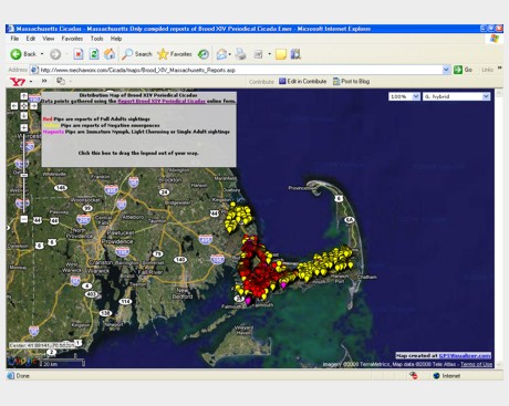 Massachusetts Cicadas Distribution Maps